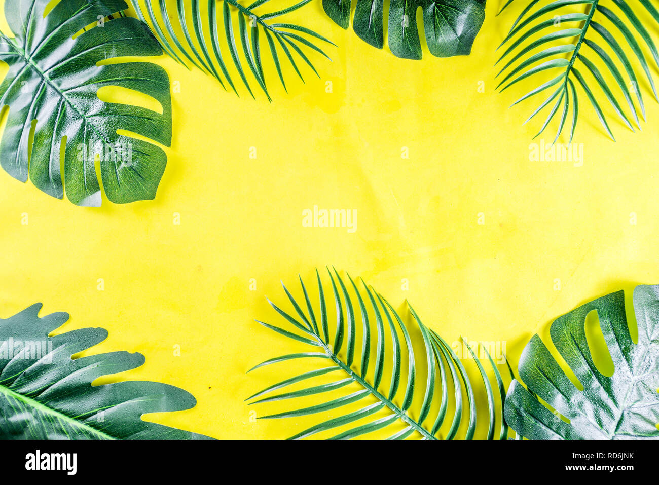 Tropical background. Palm and monstera leaves on yellow blue background ...