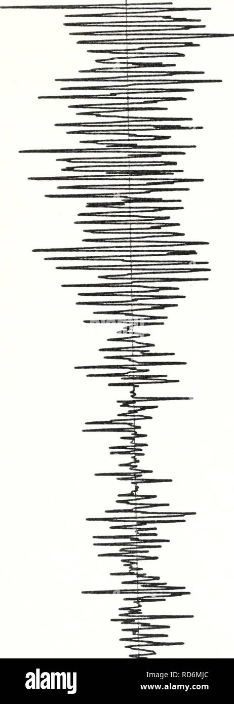 . Current meter data from the slope waters off central California, 25 July 1978 - 1 June 1980. OCEAN CURRENTS--PACIFIC OCEAN.; OCEANOGRAPHY--PACIFIC OCEAN.. + â &lt; â + H T + CM &lt; CO CO Iâ z: u z. o cl 2: o CJ Â© co O 23 - CM I I CO I 03S &lt;d3d NO 315. Please note that these images are extracted from scanned page images that may have been digitally enhanced for readability - coloration and appearance of these illustrations may not perfectly resemble the original work.. Bird, Arlene A. ;Wickham, Jacob B. ;Bottero, Joseph S. ;Pittock, Glenna. ;Smith, Robert L. ;Mooers, C. N. K. (Christo Stock Photo