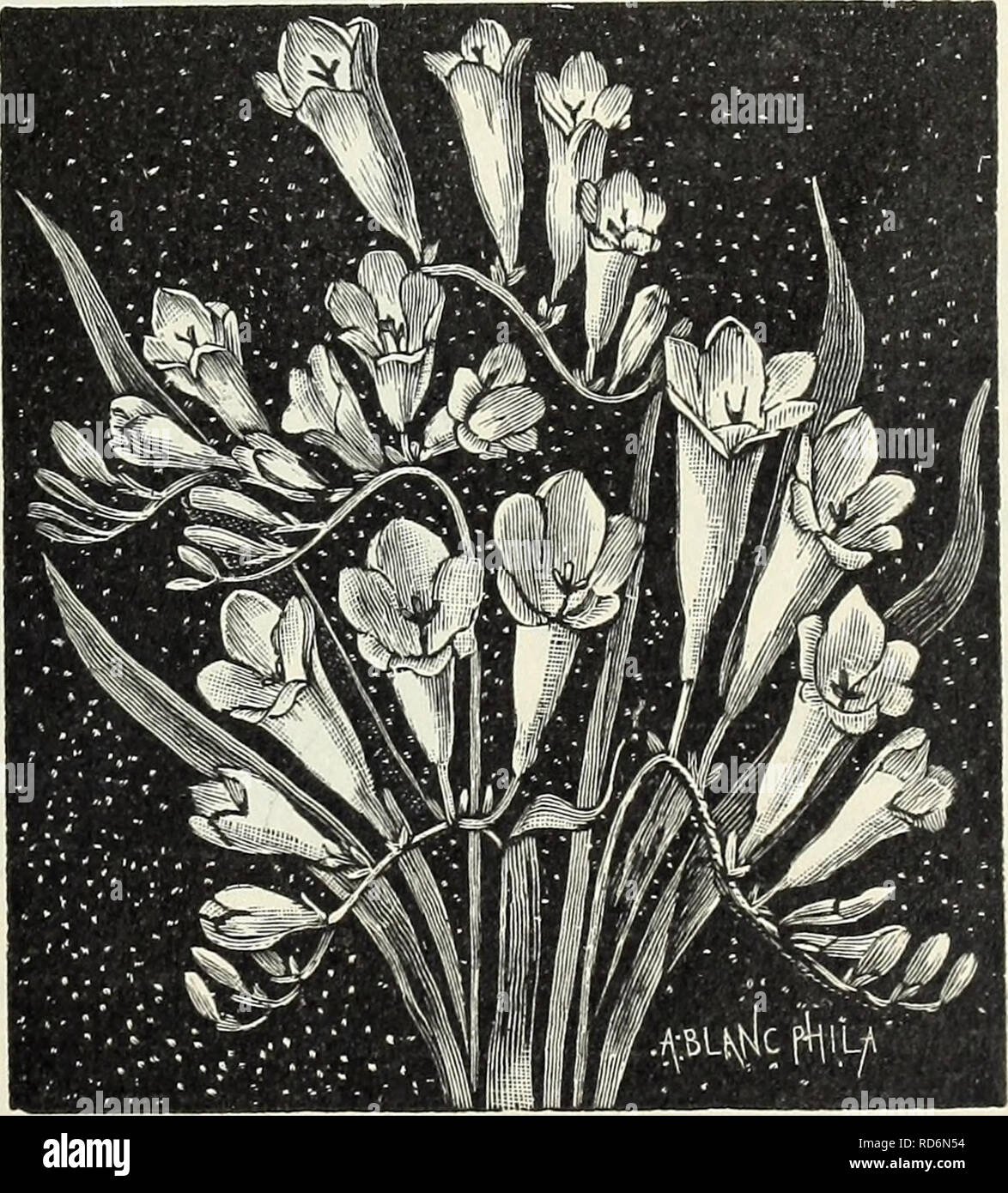 Wholesale Gardening Catalogs