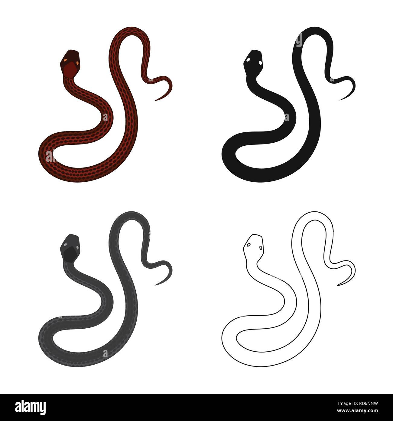 snake,tail,spiral,python,creeping,spotted,tropics,vietnam,threat,menace ...