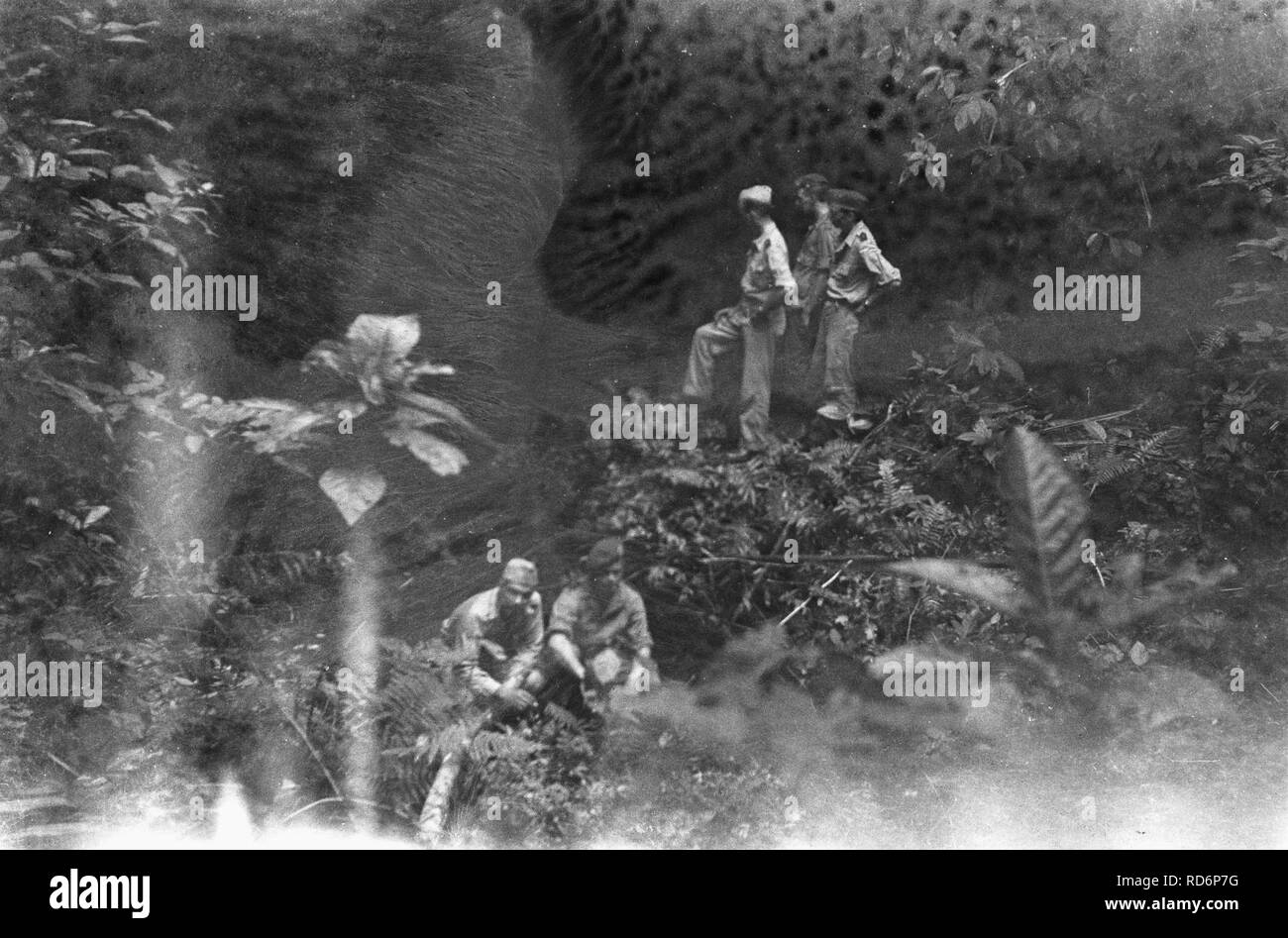 Amerikaanse vliegtuigdump op het eiland Biak. Nederlandse militairen bij de inga, Bestanddeelnr 2011. Stock Photo