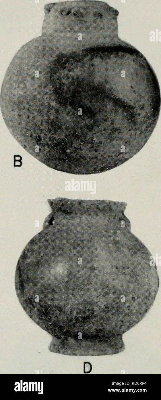 . Cultural chronology and change as reflected in the ceramics of the Virú Valley, Peru. Pottery -- Viru Valley, Peru; Mounds -- Peru Viru Valley; Viru Valley, Peru -- Antiquities. Fig. 32. Gallinazo pottery from V-303. A-C, Burial 4; D, Burial 3. Burial 3. Depth 150 cm. Extended. (a) Polished red jar with ring base, flaring rim, and pierced node handles at the neck (diam. 23 cm., ht. 23). There is a series of pressed-out bosses around the shoulder, and the body is decorated with negative painting in Gallinazo Negative style (fig. 32, D). (b) Polished black bowl (diam. 20 cm., ht. 10) with ring Stock Photo