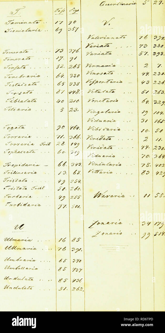 Huibner S Geometra Electronic Resource Lepidoptera L C Amp T Lt Lt Ctcl S 6 1 Gt Rs Gt 2a A 7 2 2 2 V 9 Zz 3 Z Amp J Lt Fs 2s3 S V Lt 9 3 7ss