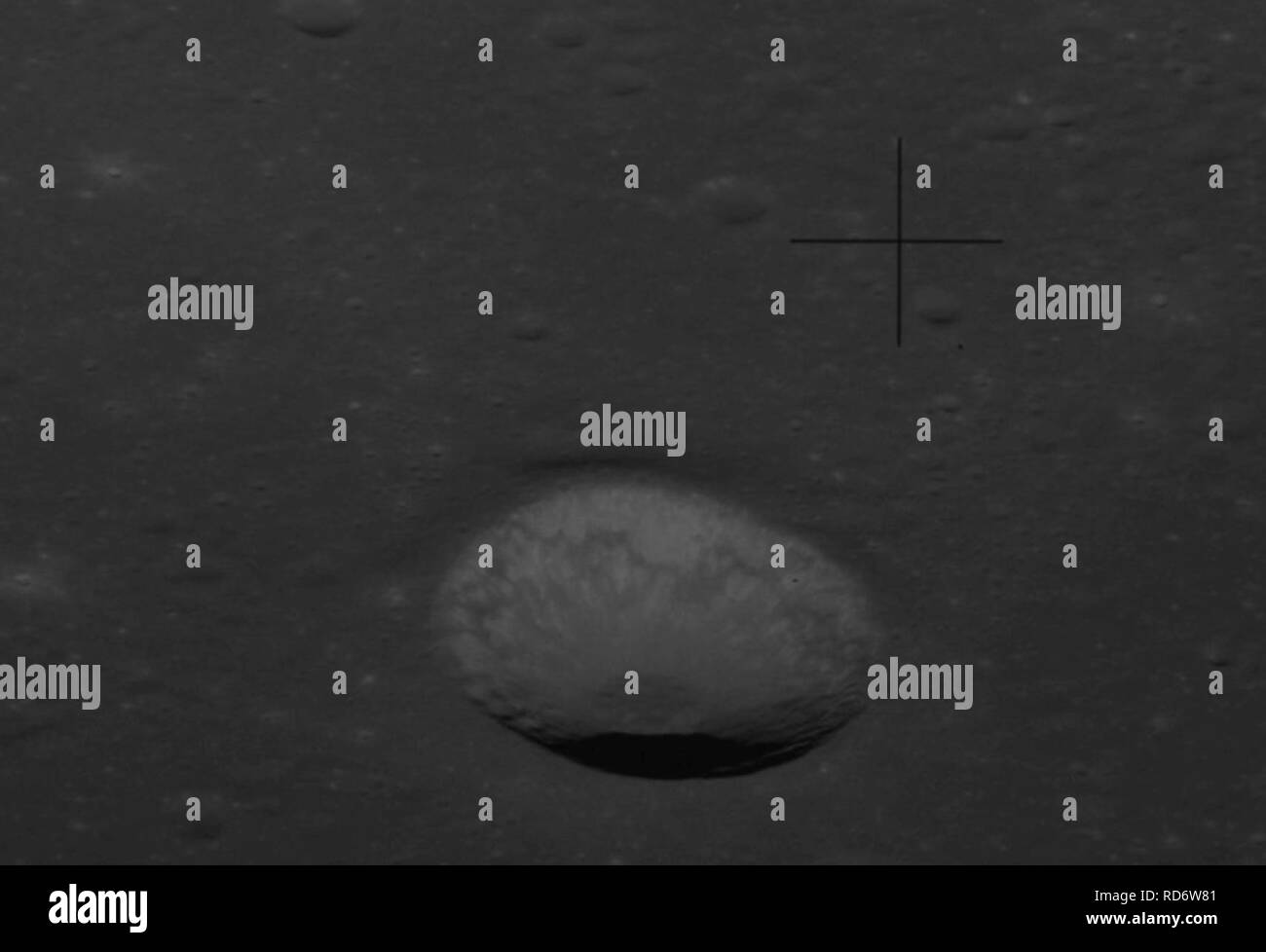 Ammonius hi-res stock photography and images - Alamy