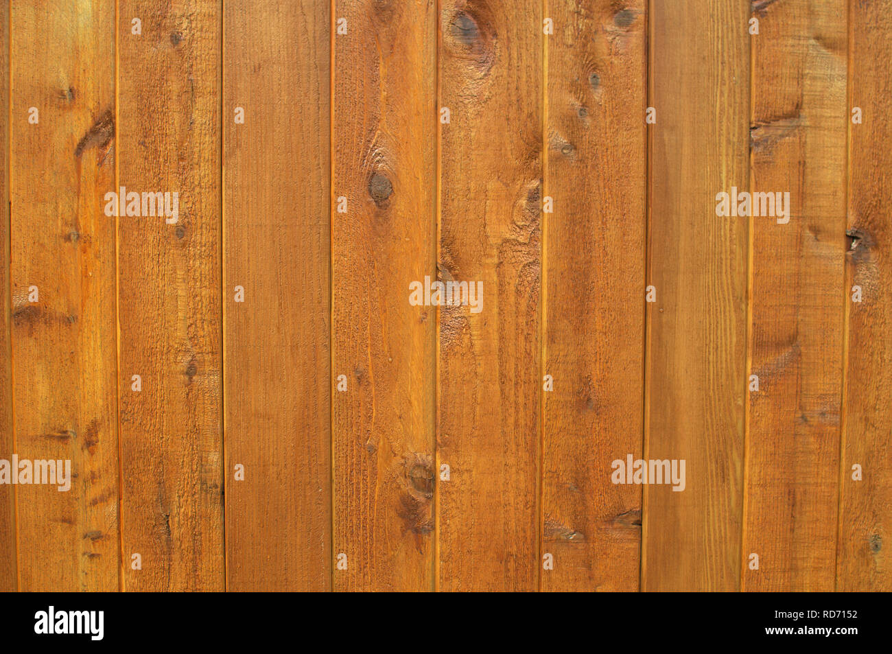 Stained cedar fence boards Stock Photo Alamy