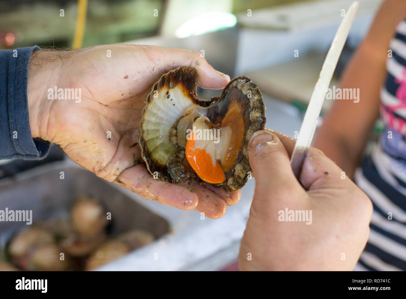 Fish preparation sink hi-res stock photography and images - Alamy
