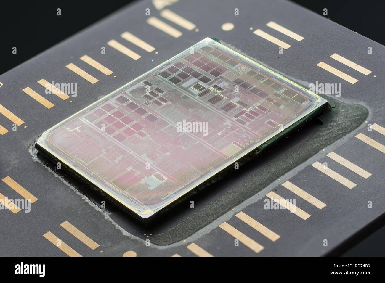 AMDAthlon K7 Argon K7500MTR51B C Stack-DSC10224-DSC10318 - ZS-retouched ...