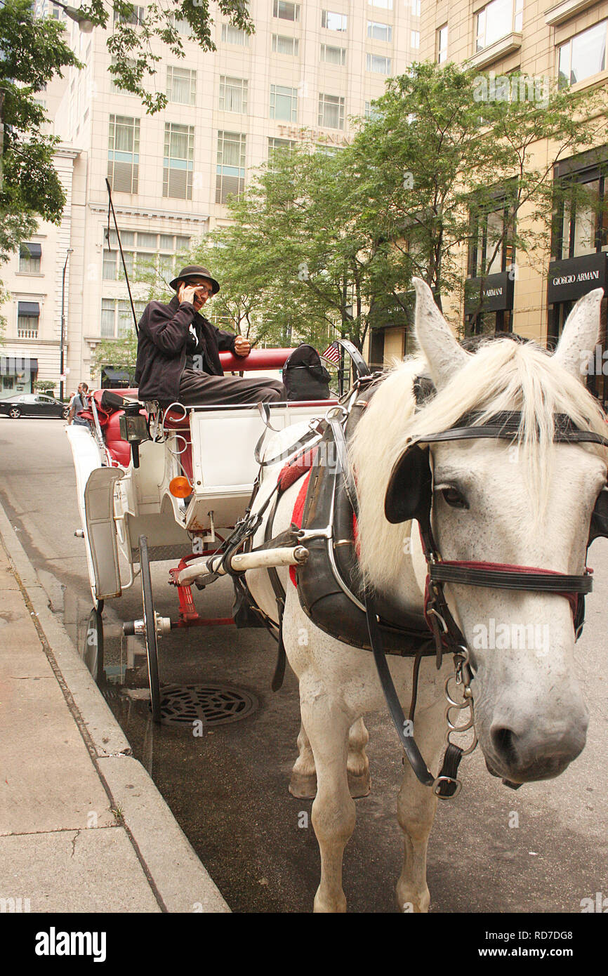 Horse drawn carriage ride in downtown Chicago, IL, USA Stock Photo Alamy
