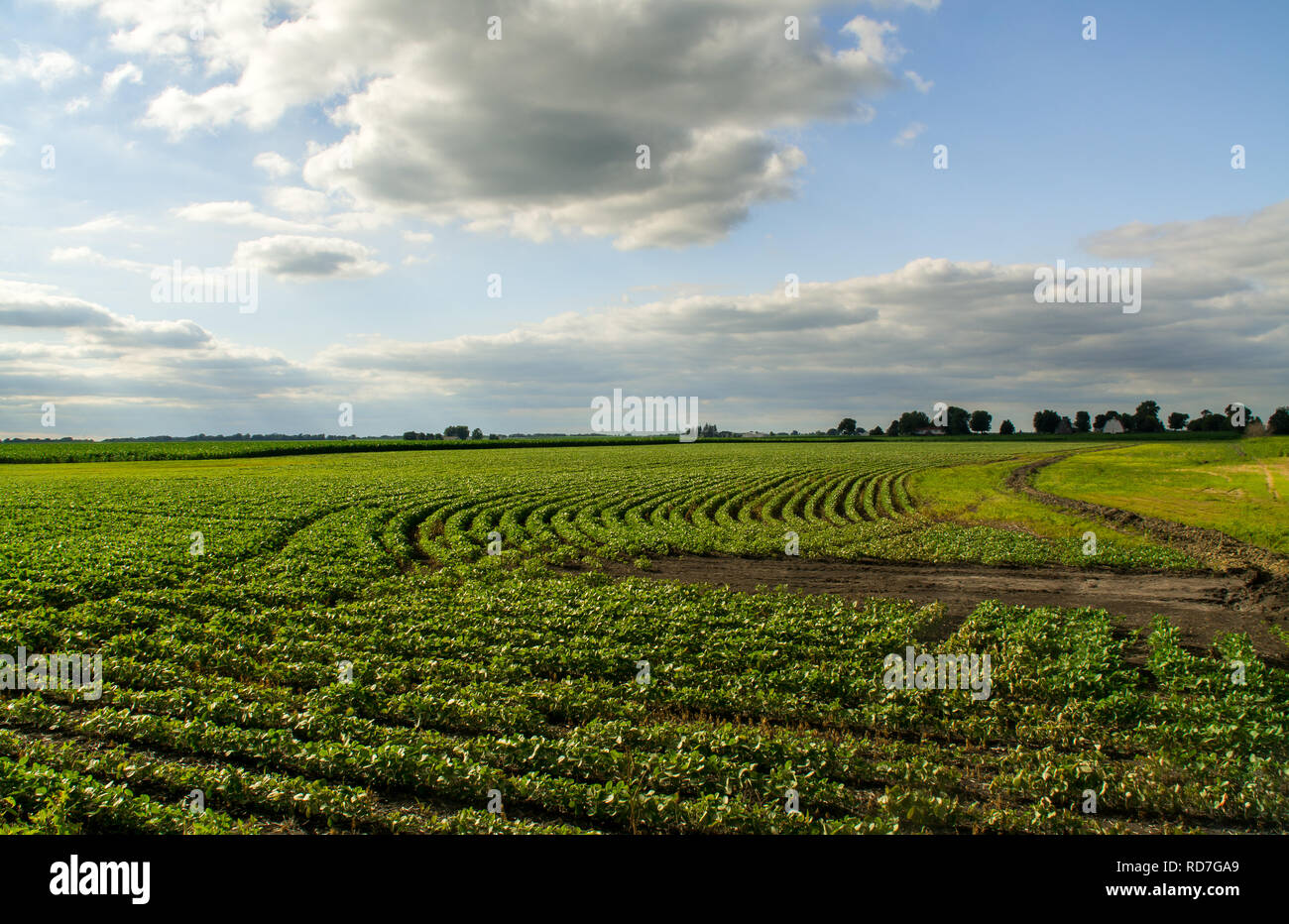 Central Illinois farmland in the afternoon light Stock Photo Alamy