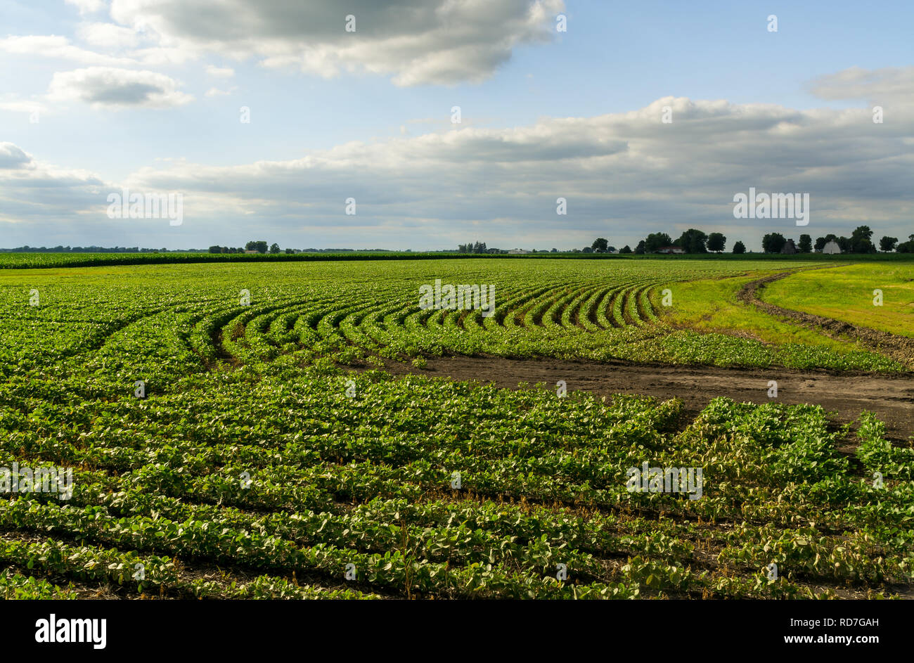 Central Illinois farmland in the afternoon light Stock Photo Alamy