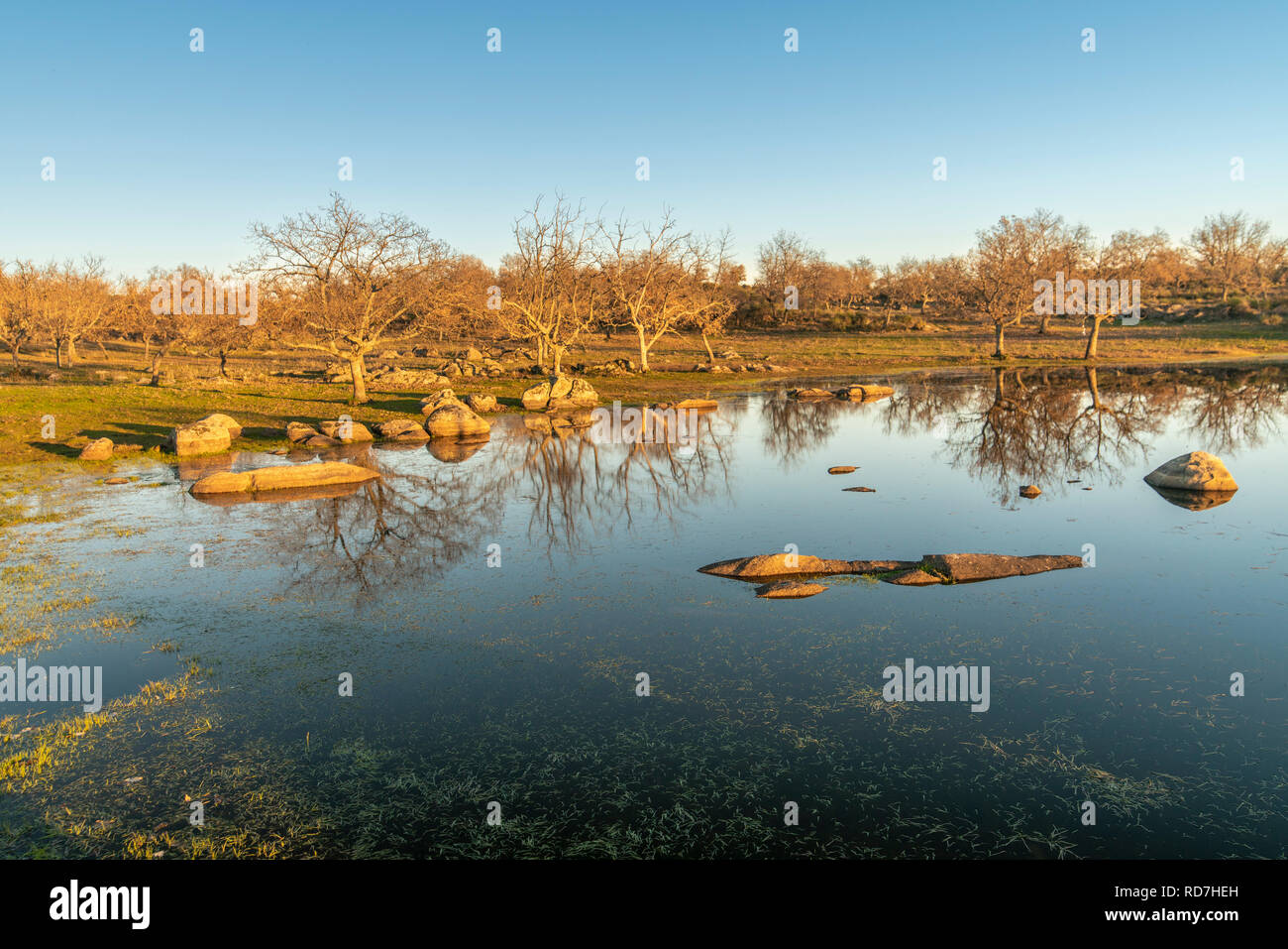 Amazing water reflections of the rocks and the bare trees over the ...