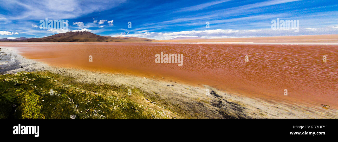 Colorada lagoon and awesome natural landscape at Bolivian Andes Altiplano. Red colour water on an amazing wild environment with an infinite horizon Stock Photo