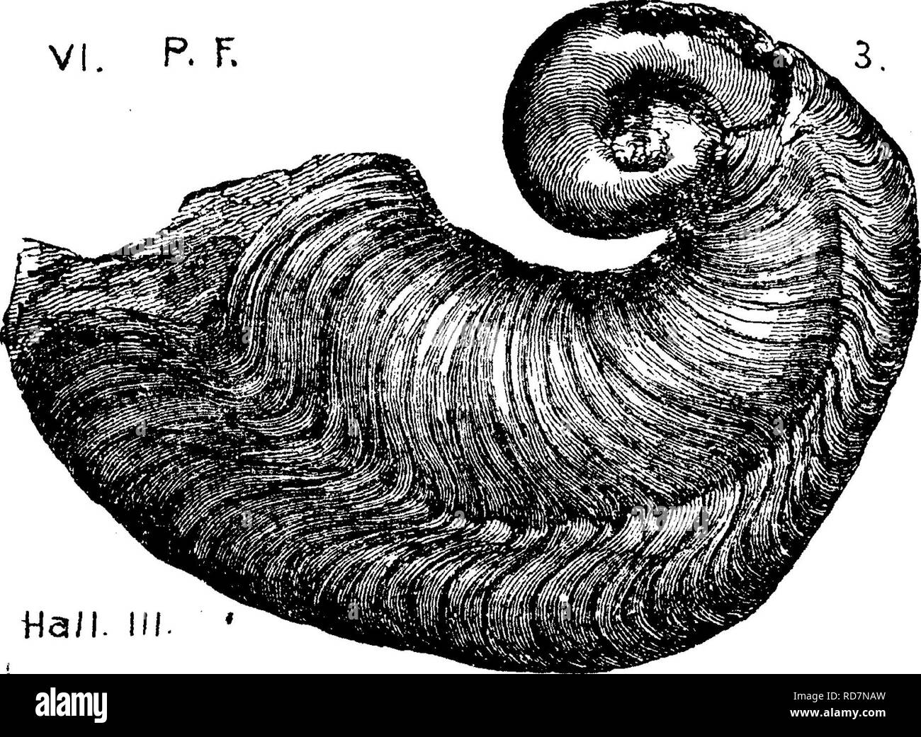 Oriskany Black and White Stock Photos & Images Alamy