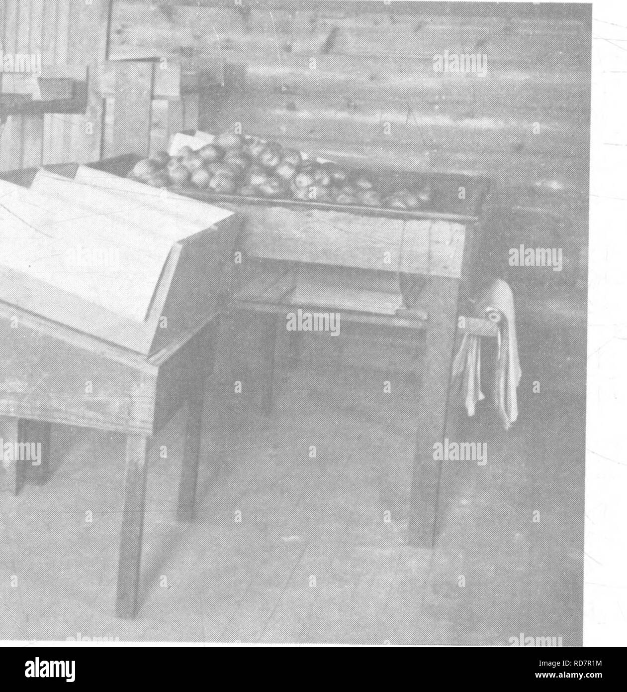 . The encyclopedia of practical horticulture; a reference system of commercial horticulture, covering the practical and scientific phases of horticulture, with special reference to fruits and vegetables;. Gardening; Fruit-culture; Vegetable gardening. Fig. 18. Table and Bench in Use by Mr. J. H. Estes, Zillah. Wash. Note the shelf for wrapping paper above the boxes, the shelf for cardboard and extra wrapping paper underneath the burlap table, the rack for lining paper attached to this table, and the front incline to the packing bench, .to which the packer can shift his packed box to await the  Stock Photo