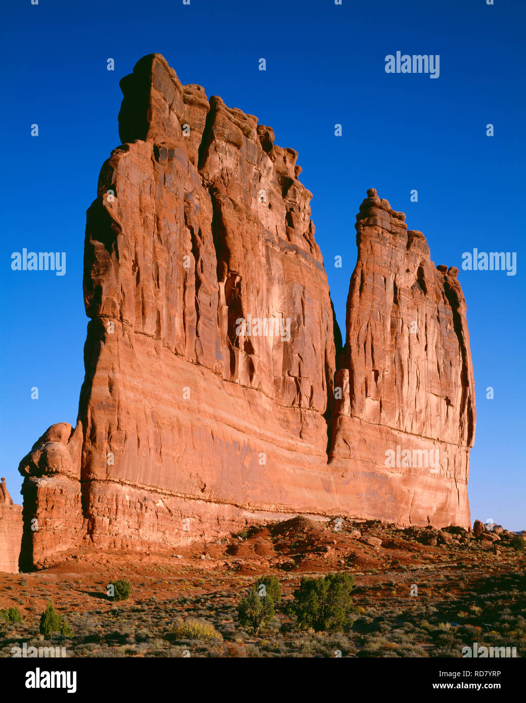 USA, Utah, Arches National Park, Early morning light on The Organ which is a huge fin composed of Entrada Sandstone. Stock Photo