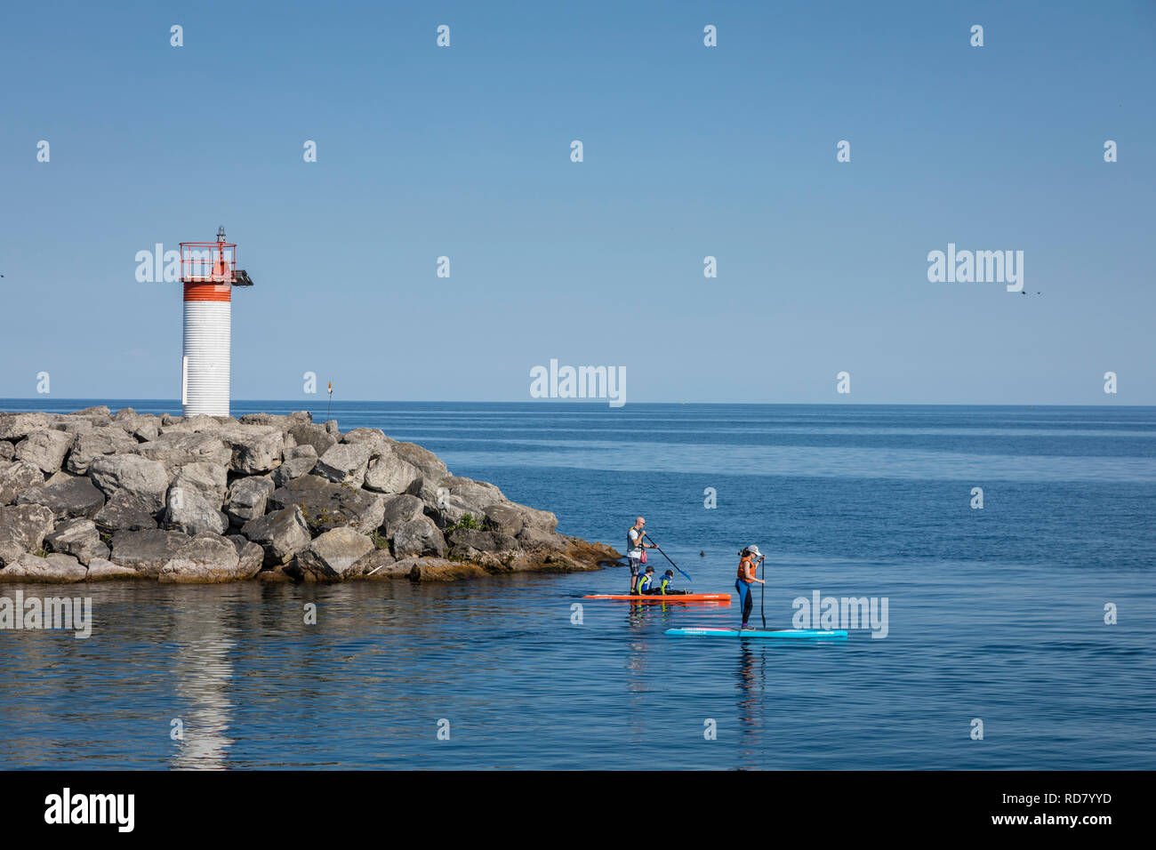 Family of four on 2 standup paddleboards, with a small lighthouse in the background. Stock Photo