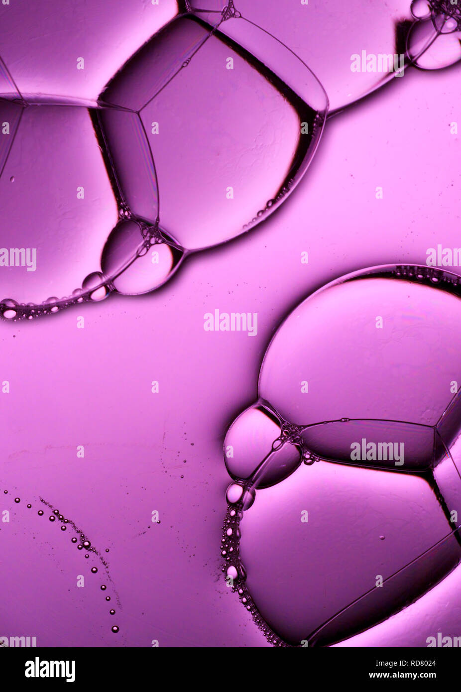 Close up of bubbles on purple background, studio shot Stock Photo
