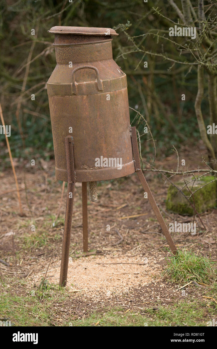 pheasant feeder on a shooting estate Stock Photo