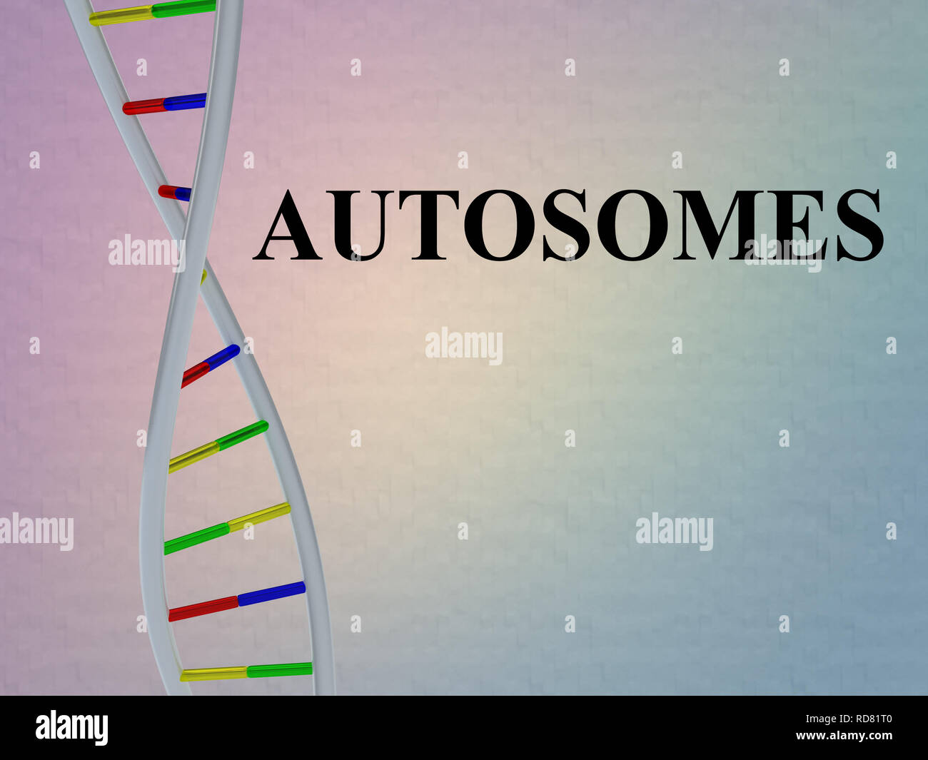 3D illustration of AUTOSOMES script with DNA double helix , isolated on colored pattern. Stock Photo