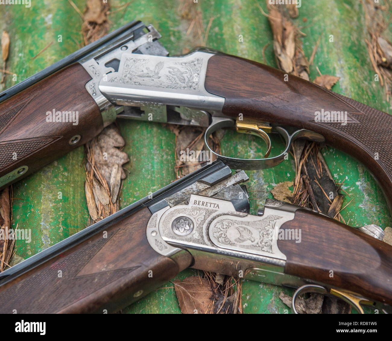 two shotguns Stock Photo