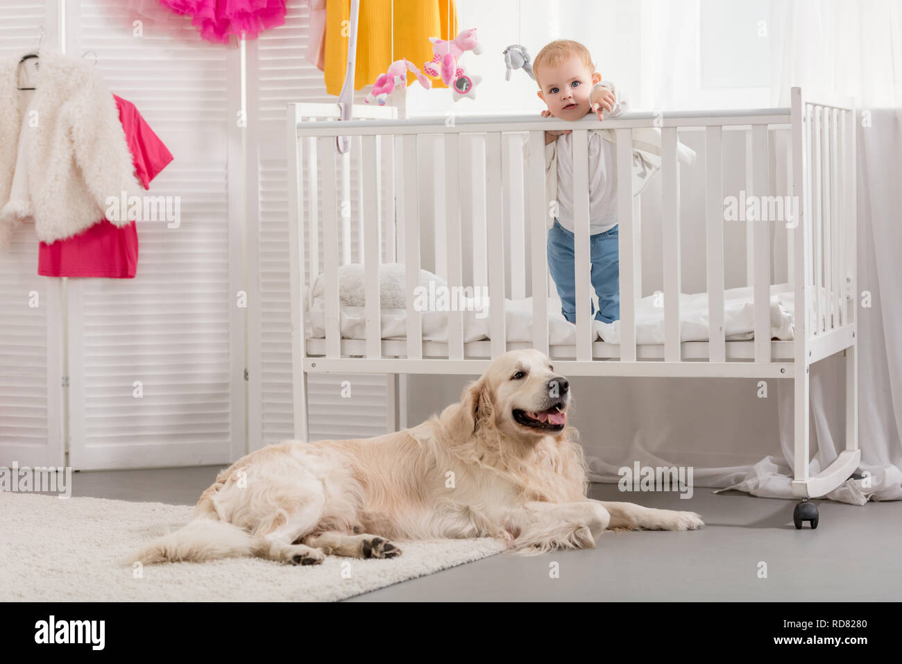 Adorable Kid Standing In Crib Golden Retriever Dog Lying On Floor