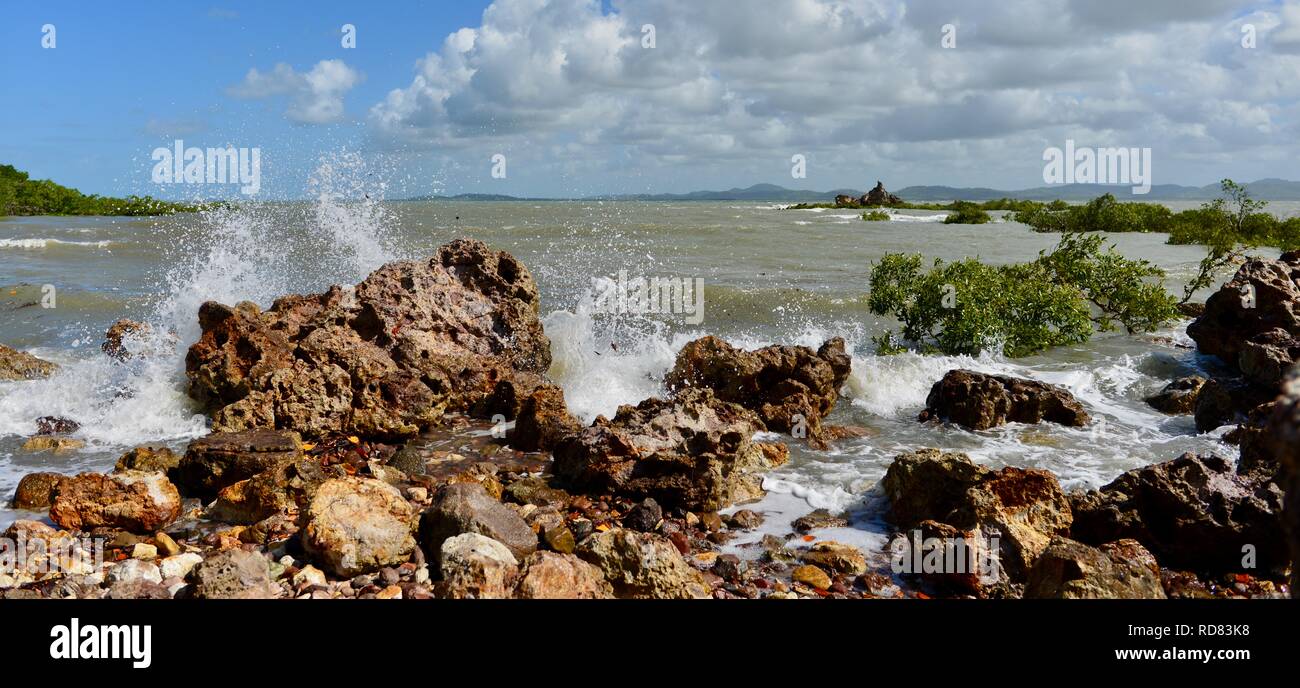 Waves crashing against rugged rocks near mangroves, Yuibera trail at Cape Hillsborough National Park, Queensland, Australia Stock Photo