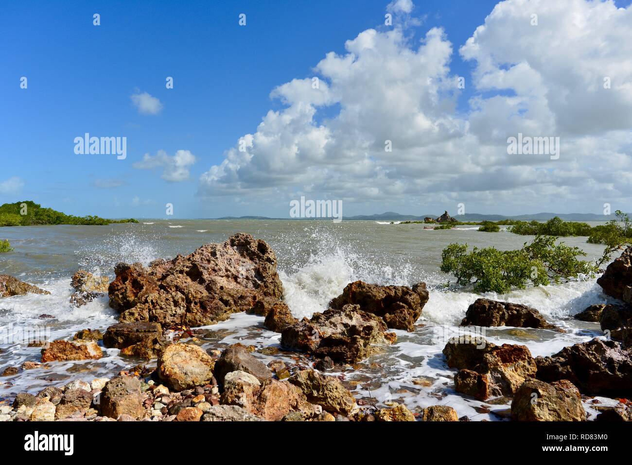 Waves crashing against rugged rocks near mangroves, Yuibera trail at Cape Hillsborough National Park, Queensland, Australia Stock Photo