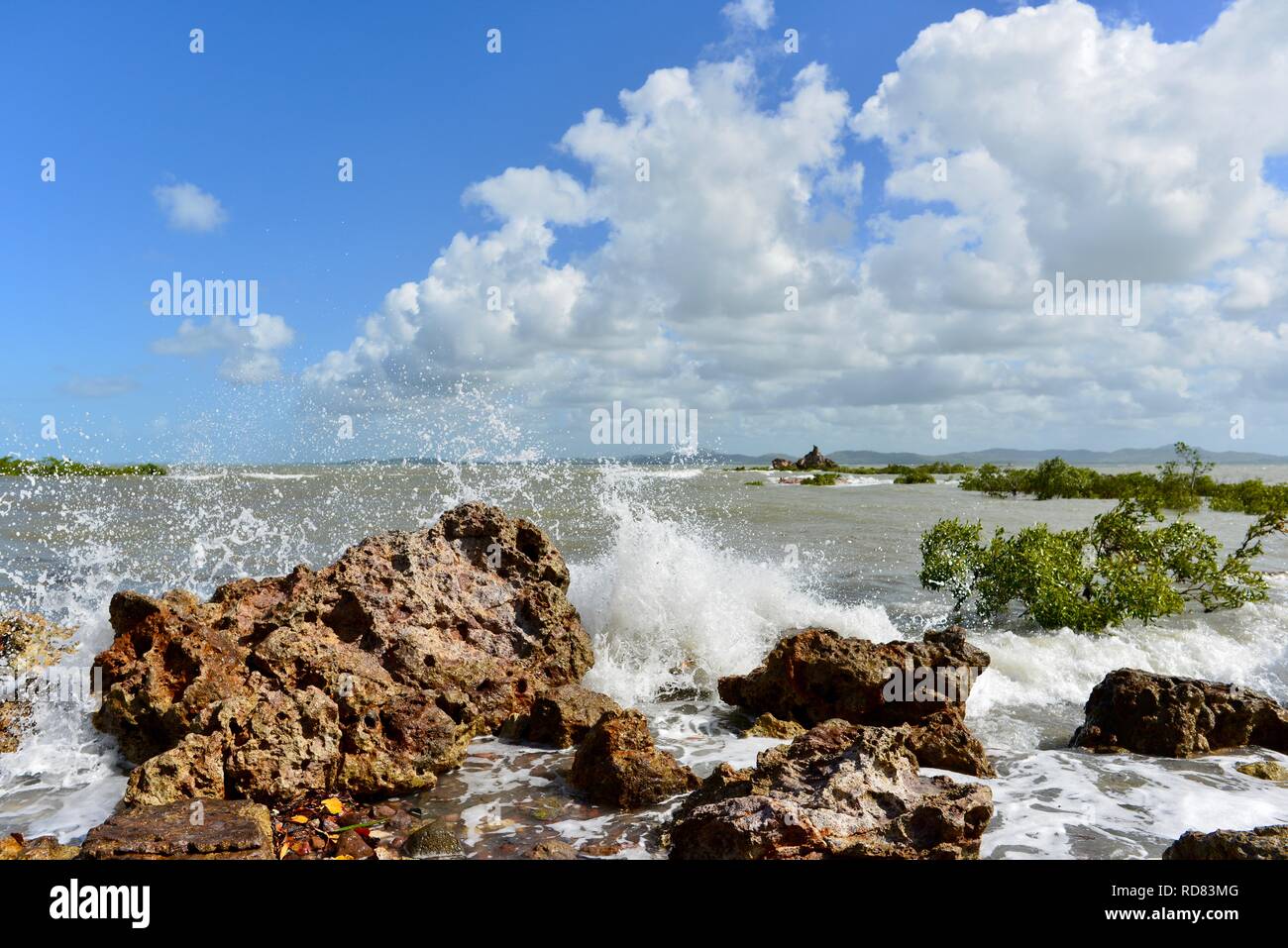 Waves crashing against rugged rocks near mangroves, Yuibera trail at Cape Hillsborough National Park, Queensland, Australia Stock Photo