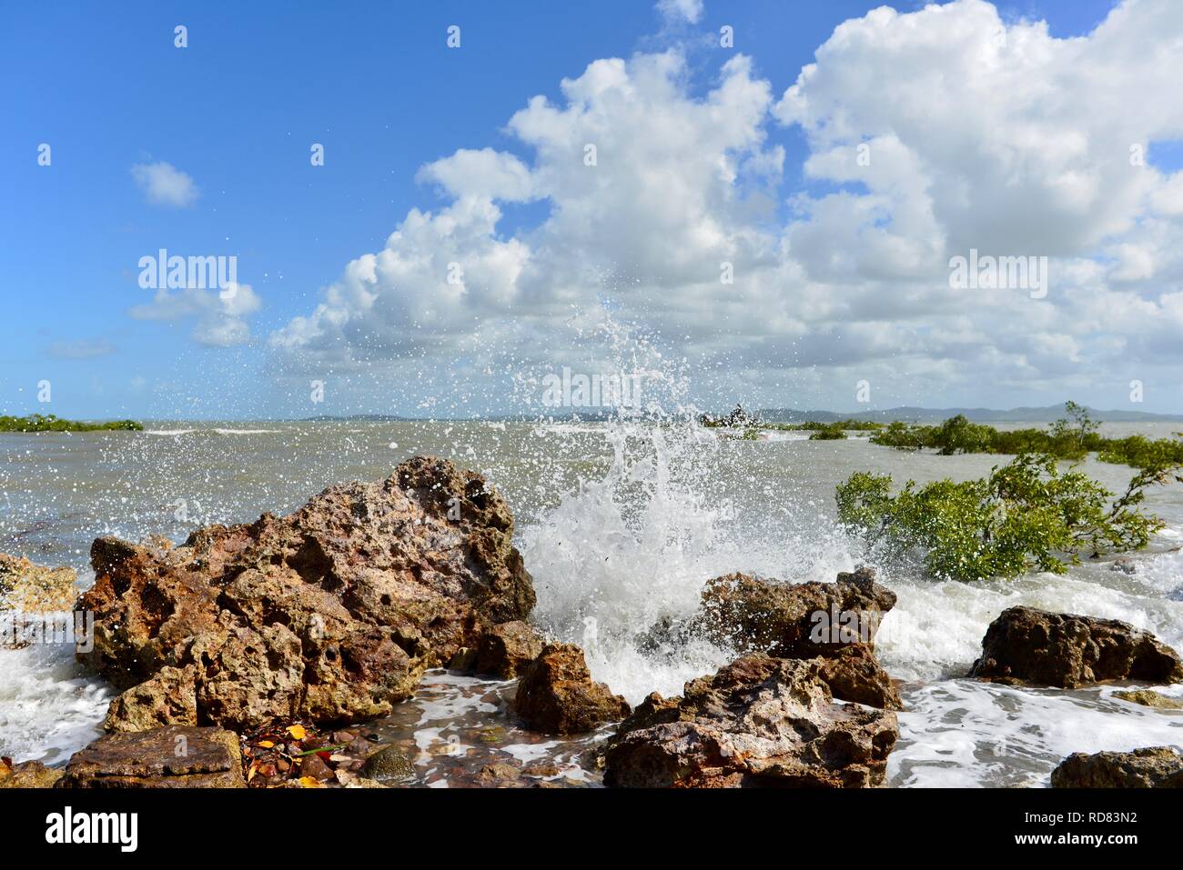 Waves crashing against rugged rocks near mangroves, Yuibera trail at Cape Hillsborough National Park, Queensland, Australia Stock Photo