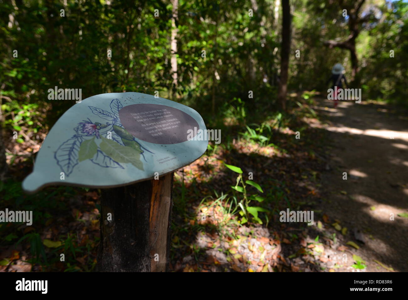 Yuibera Map Signs along the Yuibera trail at Cape Hillsborough National Park ...