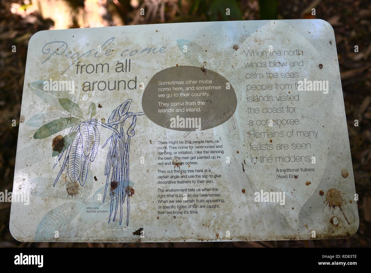 Yuibera Map Signs along the Yuibera trail at Cape Hillsborough National Park ...