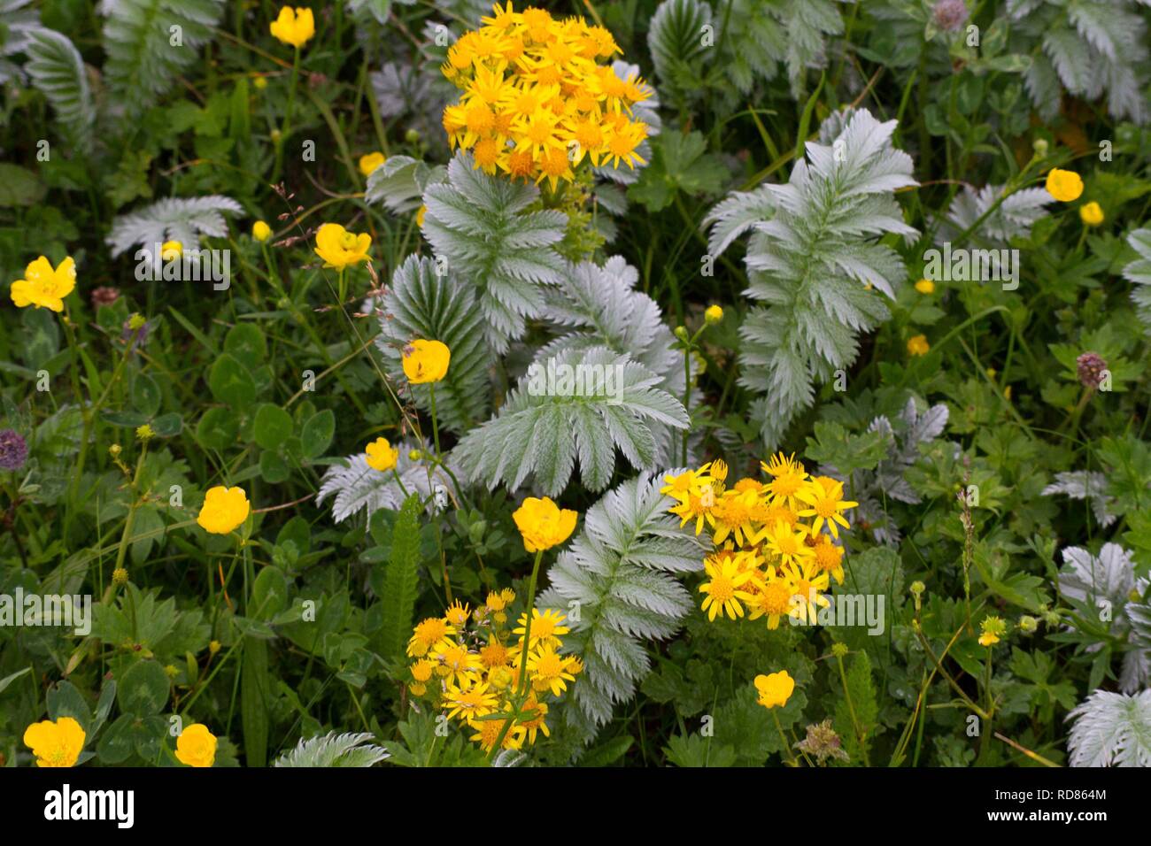 Nuist hi-res stock photography and images - Alamy