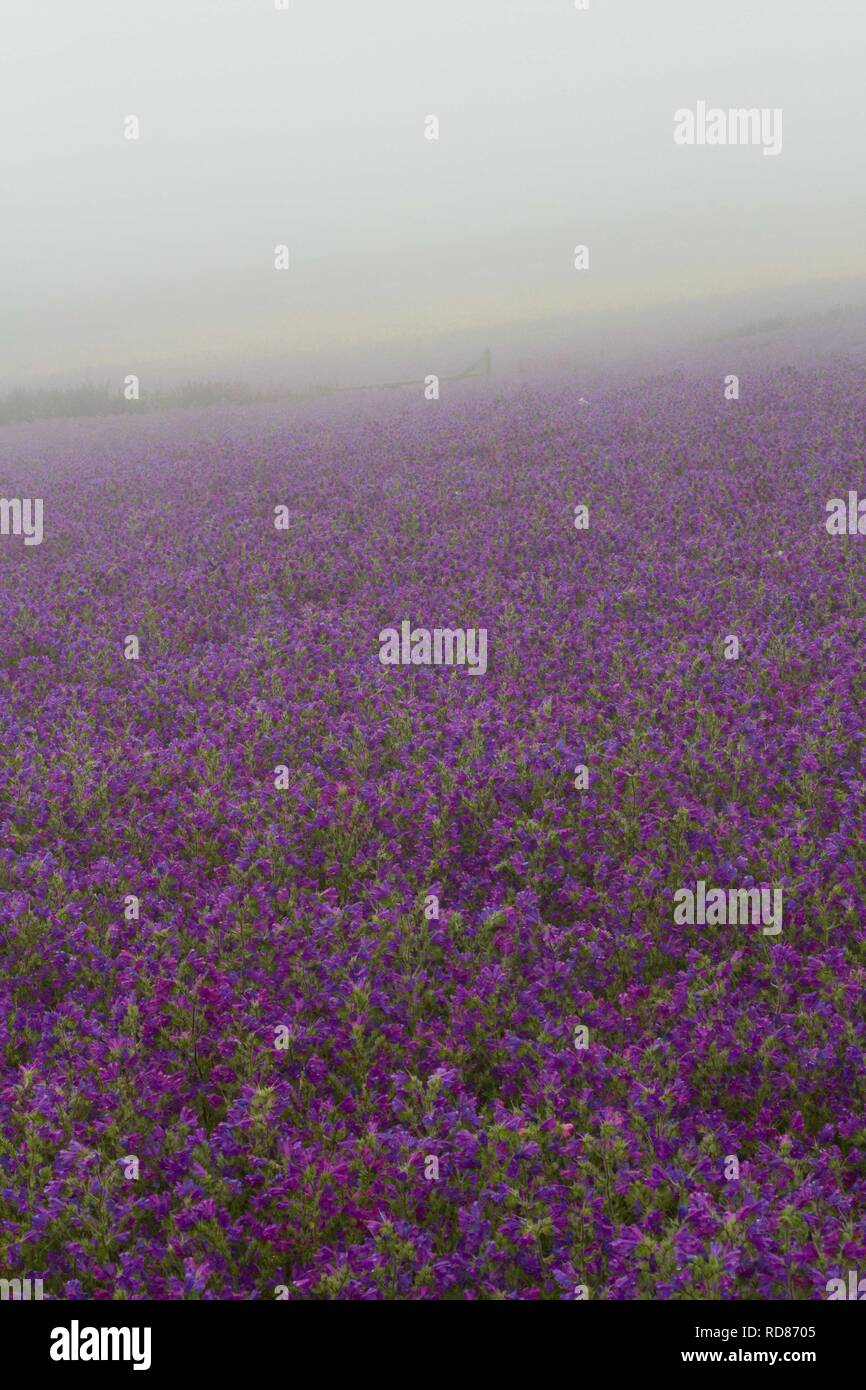 Enterprise nneptune hires stock photography and images Alamy