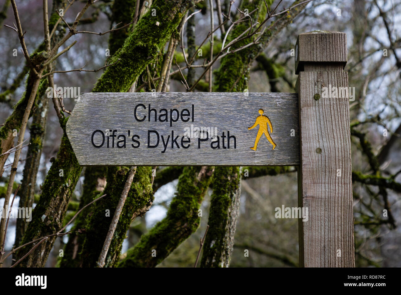 Finger sign for the Offa's Dyke Path, near Capel-y-Ffin, Monmouthshire, Wales Stock Photo