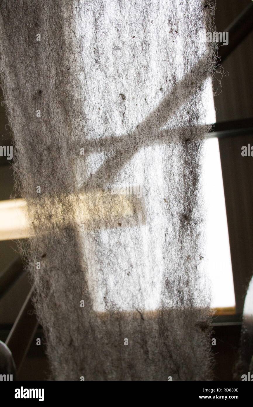 Wool thread being spun from raw wool product , part of process to ...