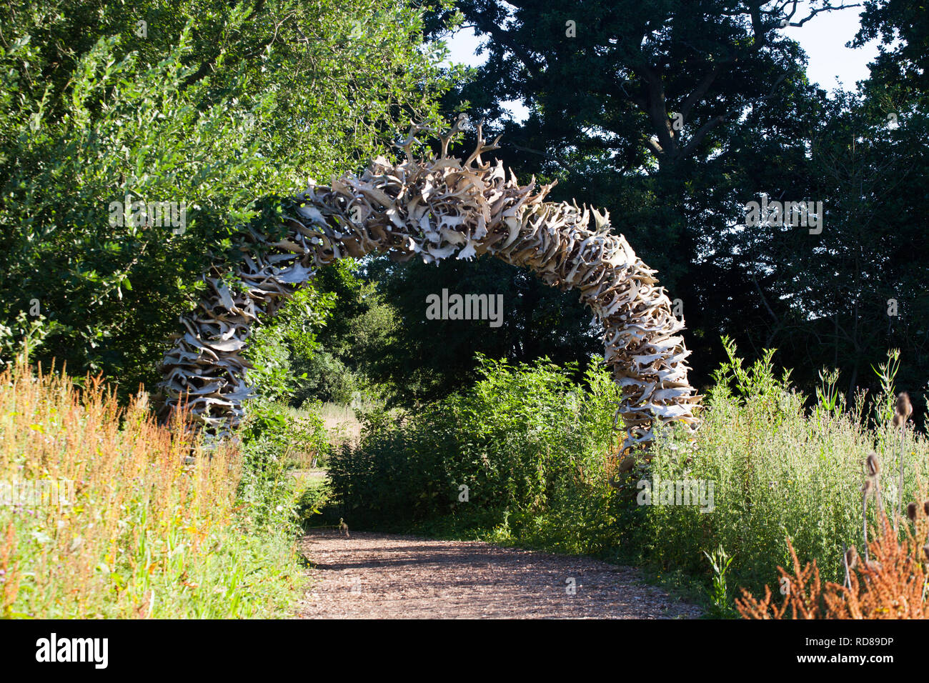 Arch created out of shed Fallow Deer antlers, entrance to the camping ...