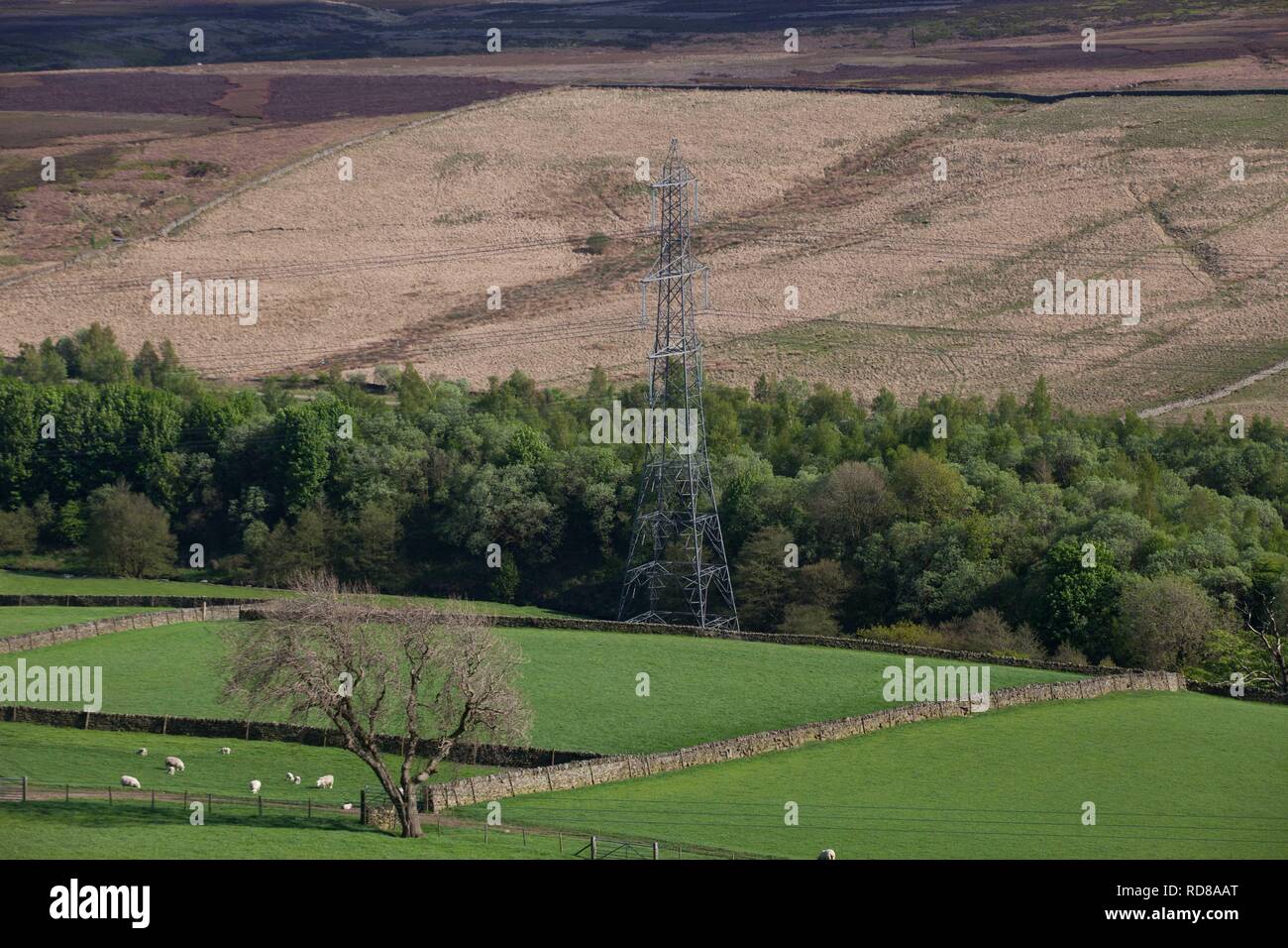 Electricity pylons , due to removed with the power lines put under