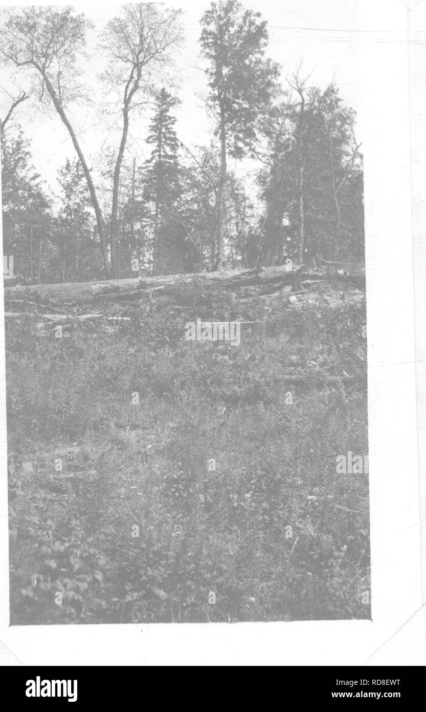 Old railway right of way Black and White Stock Photos & Images - Alamy