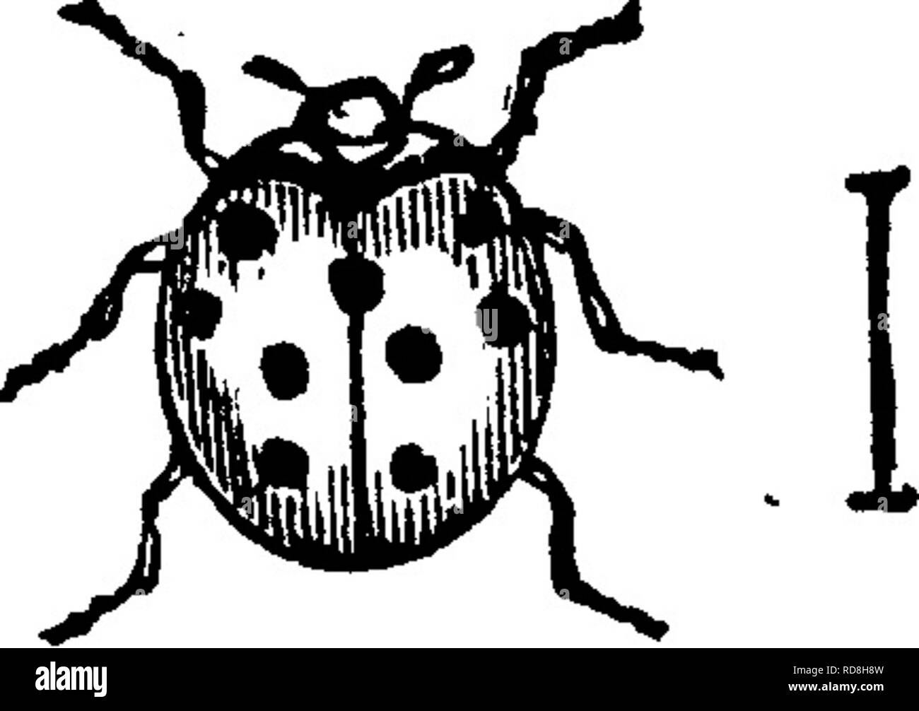 Bursting buds Cut Out Stock Images & Pictures Alamy