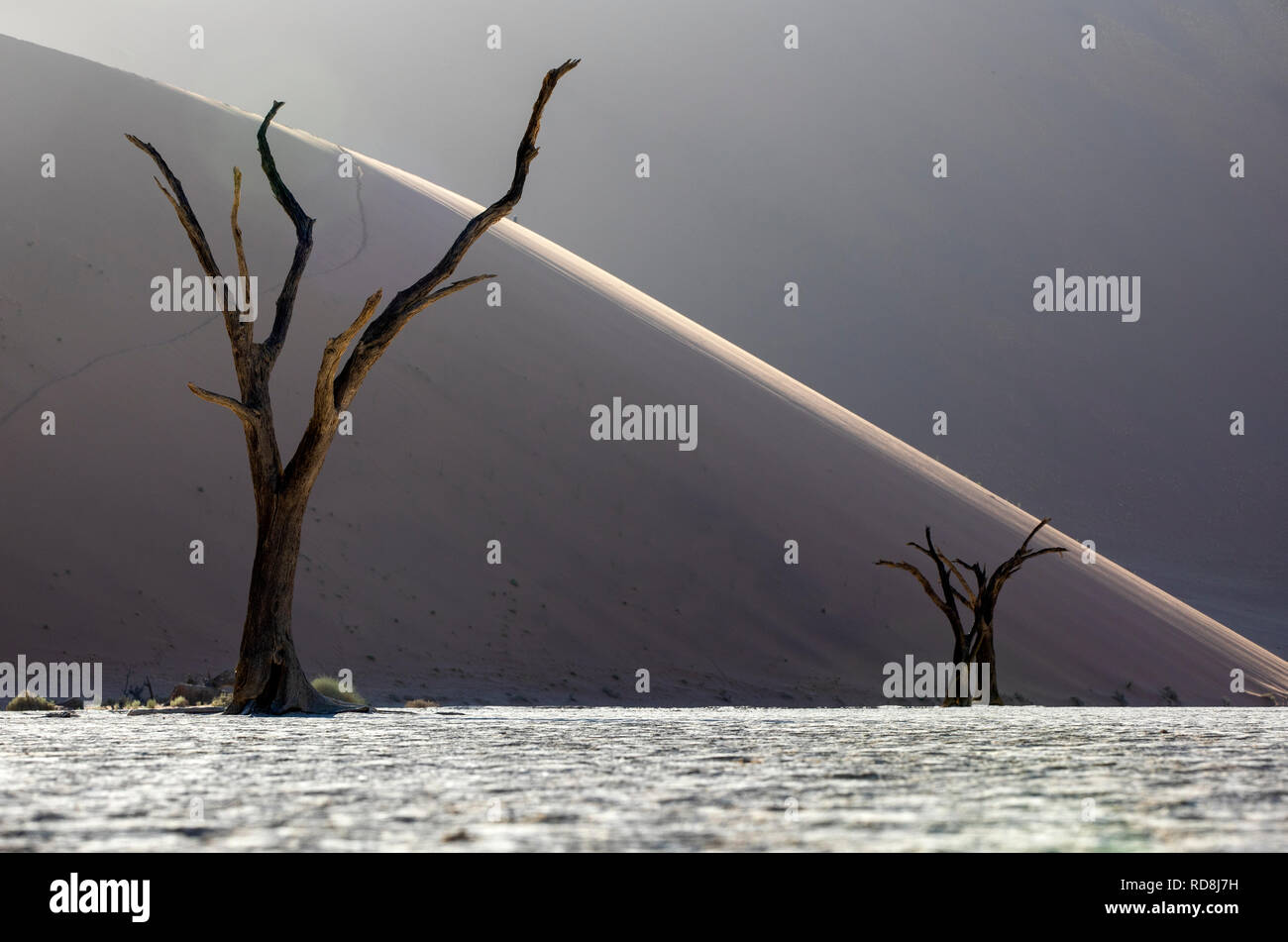 Surreal Deadvlei Landscape in Namib-Naukluft National Park, Namibia, Africa Stock Photo