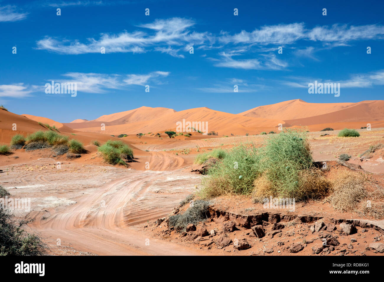 Namib visual data 3