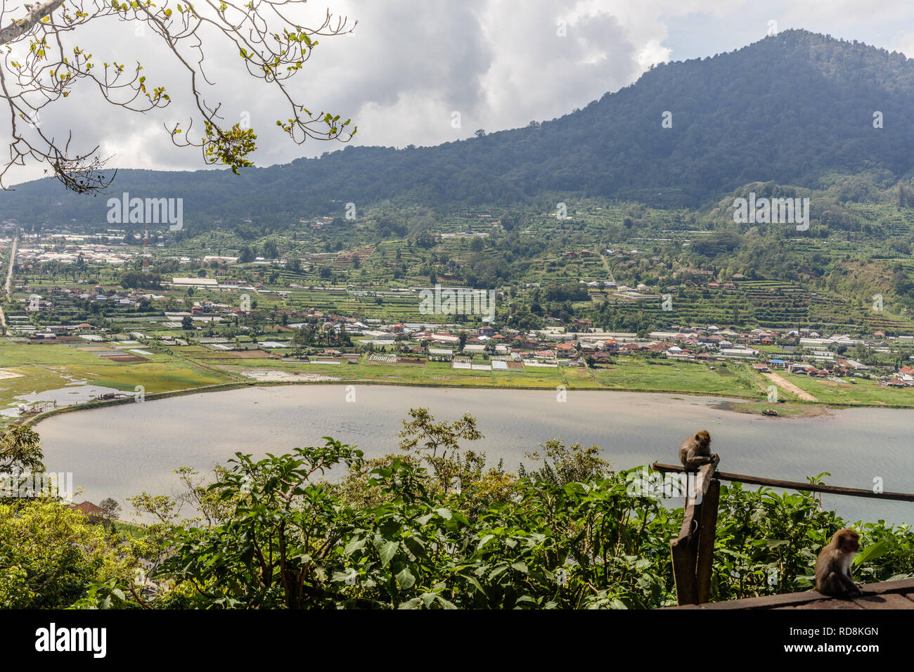 View Of Buyan Lake Danau Buyan From The Top Bedugul Buleleng Bali View Of Buyan Lake Danau Buyan From The Top Bedugul Buleleng Bali