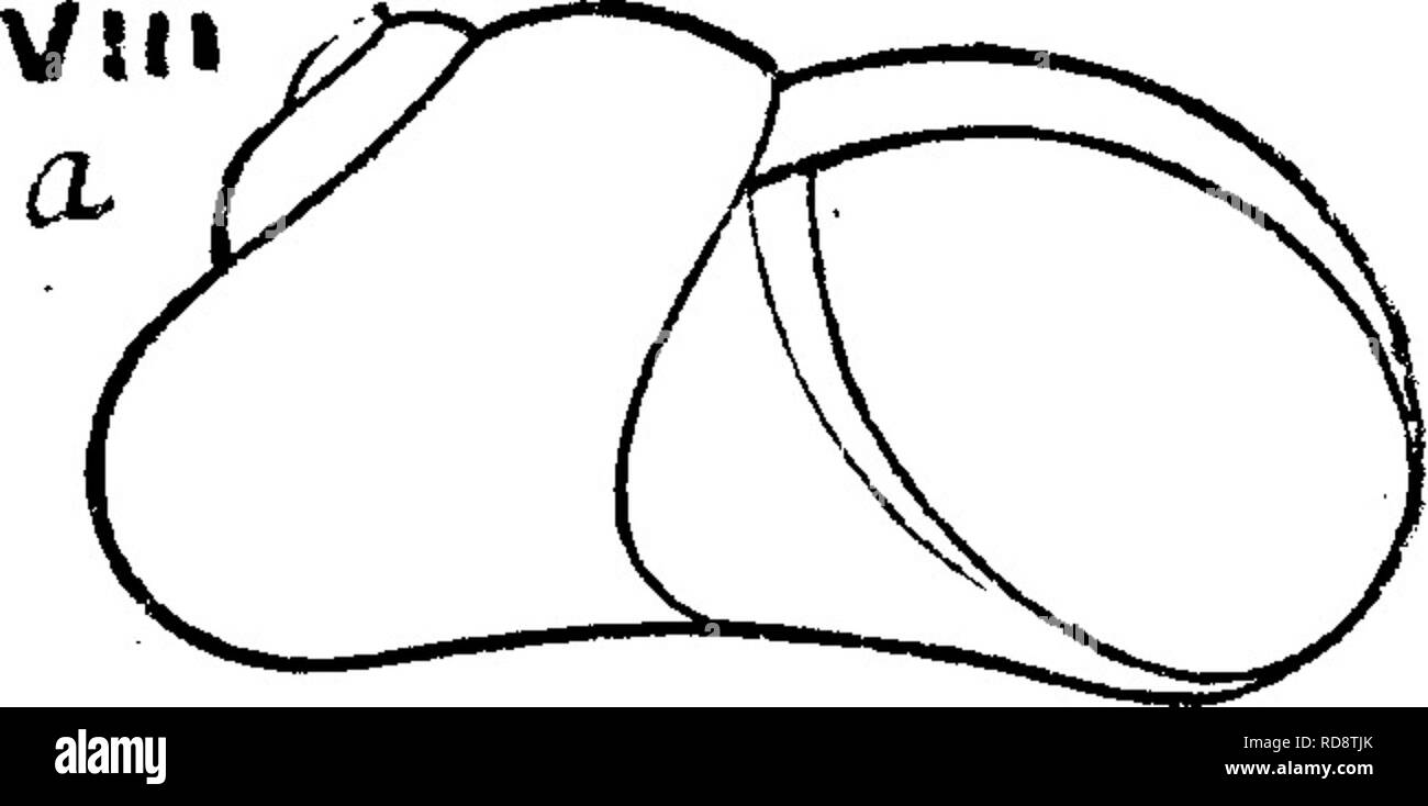 Whitfield Hall Stock Photos Whitfield Hall Stock Images - 