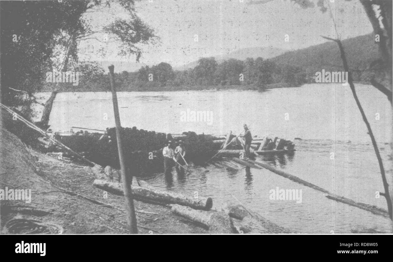 . Forest protection and conservation in Maine, 1919. Forests and forestry. HARDWOOD OPERATION. A four-horse load of hardwood logs en route to the landing. There is increasing demand for the hardwoods and in some sections within easy hauling distance of the railroads, or of waters where rafting operations can be safely carried on, consid- erable amounts of hardwood logs are being cut. .,.. &lt; Photo by Maine Forestry Dept.. HARDWOOD OPERATION. ^ •Building a hardwood raft behind a breakwater erected to keep the swift current of the river from hindering the work. - &gt;• Photo by Maine Forestry  Stock Photo