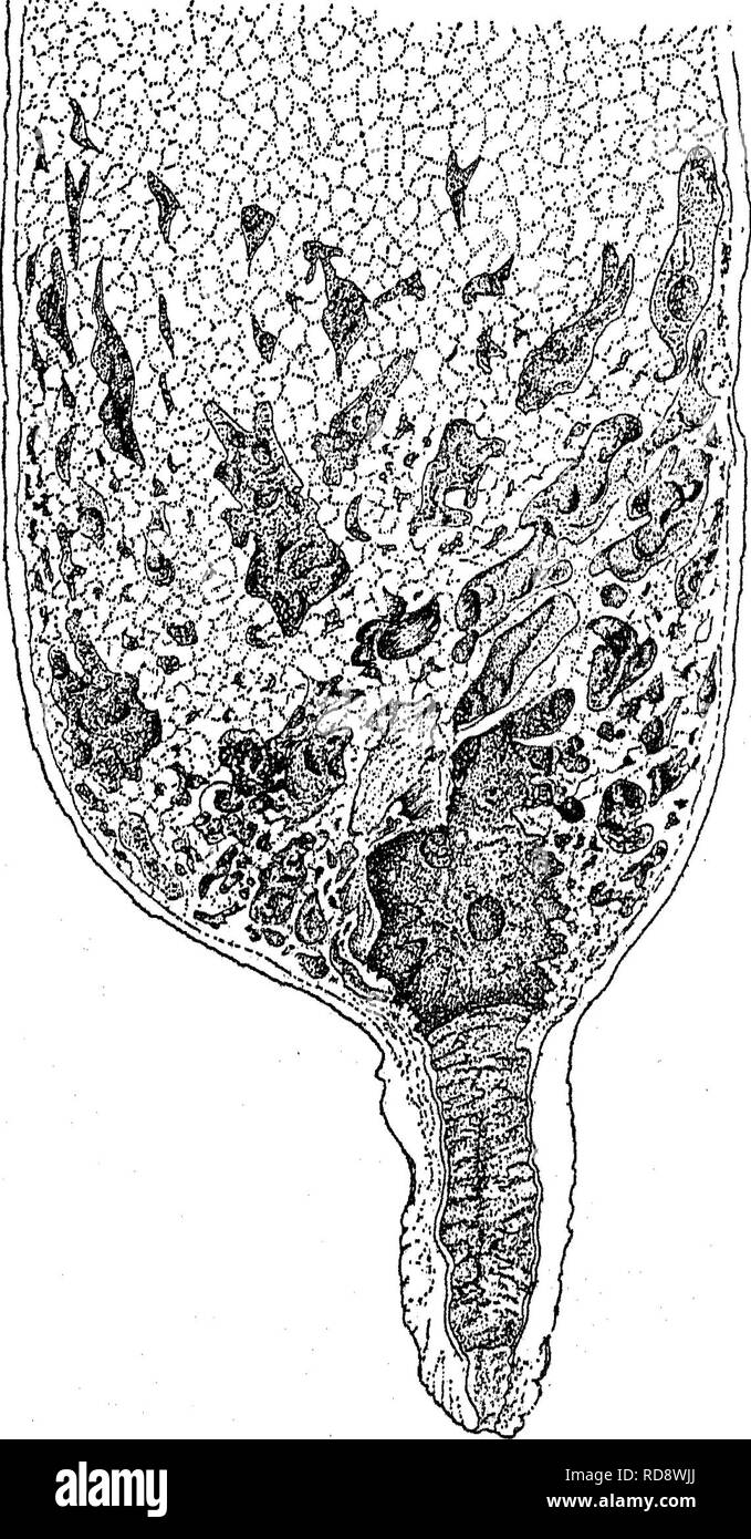 . Agricultural bacteriology; a study of the relation of germ life to ...