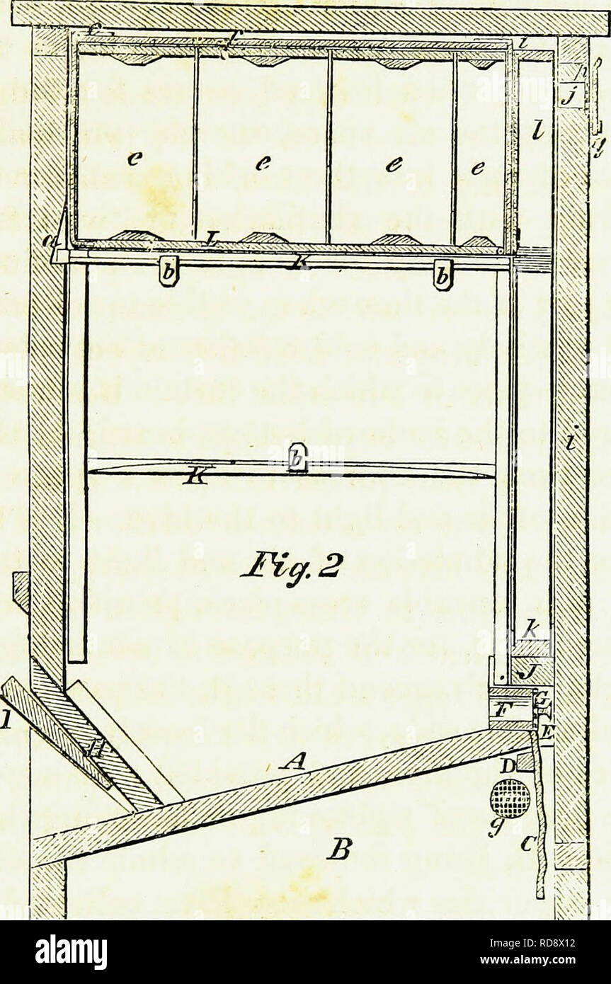 . Bees and bee-keeping: a plain, practical work: resulting from years of experience and close observation in extensive apiaries, both in Pennsylvania and California. With directions how to make bee-keeping a desirable and lucrative business and for shipping bees to California. Bees. hives. 123. bees. Fig. 1, in our illustrations, is a perspective view, and Fig. 2, a section of this hive; and by refer- ence to them the construction will be understood. A is the inclined bottom-board of the fifth chamber. It is elevated above the bottom of the hive, so as to form a chamber, by means of which the  Stock Photo