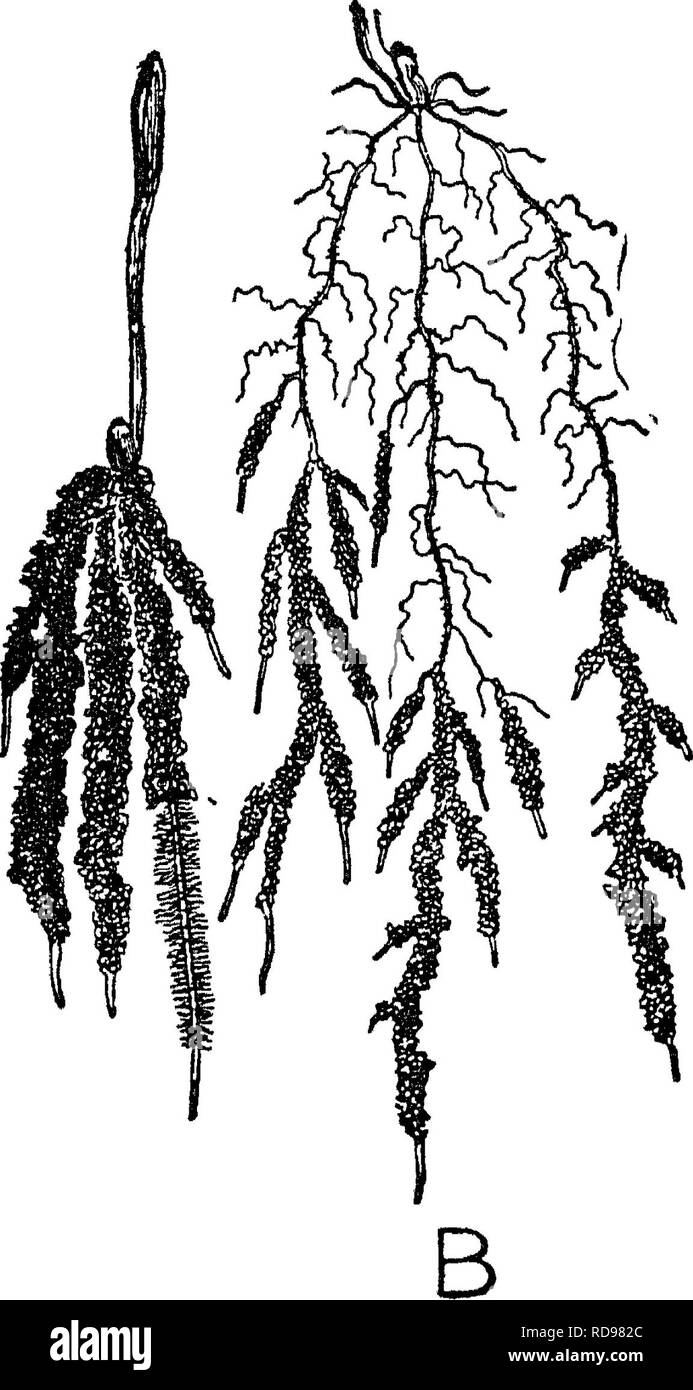 Sixteen eighty two Black and White Stock Photos & Images Alamy