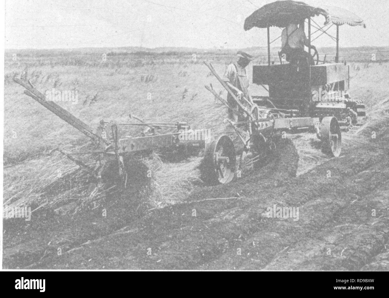 . Productive soils; the fundamentals of successful soil management and profitable crop production. Soils. CLEARING AND BREAKING 295  Clearing and Breaking.âWhen peat and muck lands are covered with tree growth, the problem of clearing and removing the stumps is comparatively simple, since the stumps are usually shallow rooted and the soil is light and loose.^ The cost of clearing varies from fifteen to thirty dollars per acre, and sometimes as high as seventy-five to one hundred dollars per acre. Rank grass, sphagnum moss and brush can best be eliminated through burning. The most desirable ti Stock Photo