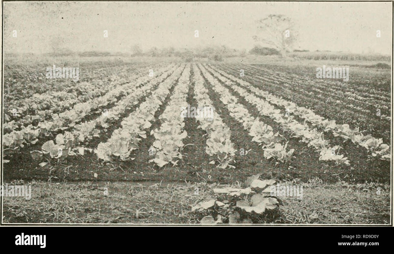 Agricultural experimental station hires stock photography and images