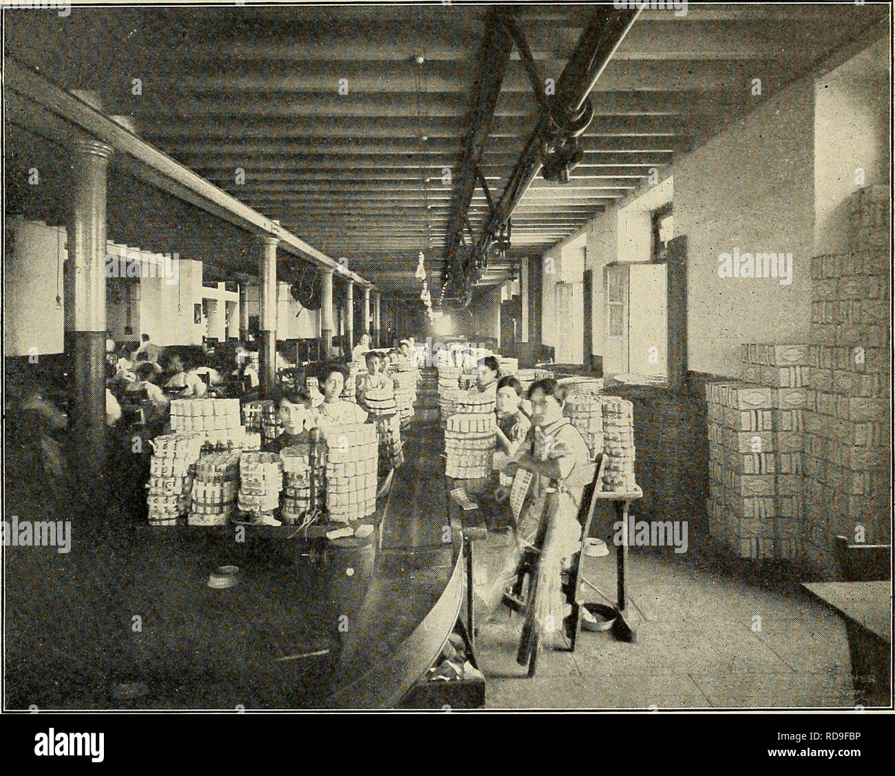 how are cigarettes made in a factory The Cuba review. . Cigarette manufacturing in Havana. A scene in the hand  packing department ot the "El Siboney" factory. The conveyor is  seen going at full speed. It also shows